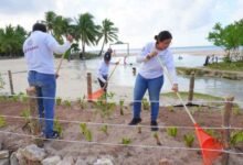 Restaura Gobierno de Solidaridad dunas en Punta Esmeralda y promueve el cuidado ambiental