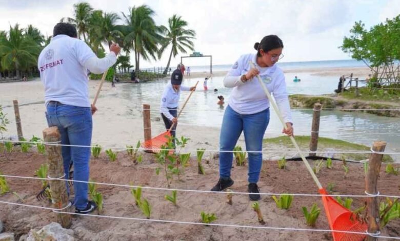 Restaura Gobierno de Solidaridad dunas en Punta Esmeralda y promueve el cuidado ambiental